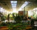 Devonian gardens