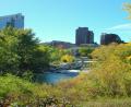 scenic Calgary