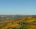 view from ski jump