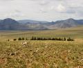 steppe-1