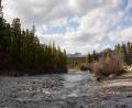 Mosquito Creek