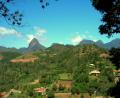 lush countryside