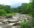 around Parati