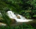 lush waterfall