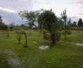 very sodden garden