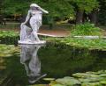 mirror image