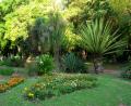 botancial gardens
