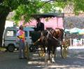 horse drawn carriage