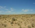 peninsula scrubland