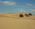 into the desert!!
