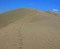 footprints in the sand