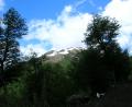 to the snowline