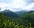 at the top