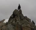 top of the world