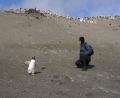 first Penguin encounter