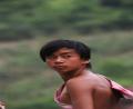 tourist-boat-puller-1