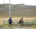 Gaucho & his horse
