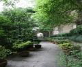 ancient-pagoda-garden