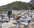 river crossing