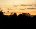 wicked sunset