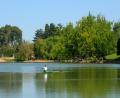 peaceful rowing