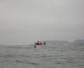 Punta de Choros dolphin