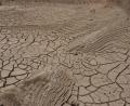 dried earth