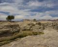 view from oasis