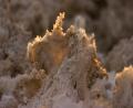 close up of salt flat