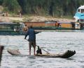 cormorent-fishing-2