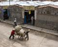 near the market