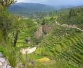 start of Inca terraces