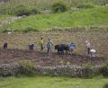 old fashioned farming