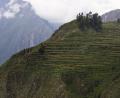 very high Inca terraces