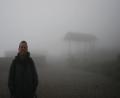 foggy condors viewpoint