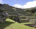 steep terraces