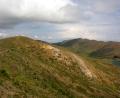 main path
