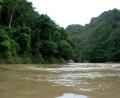 amazon tributary river