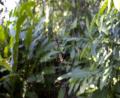 close up spiders web
