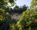 macaws wall