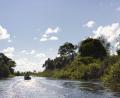 into the pampas