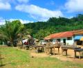 across Beni river