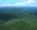 goodbye pampas
