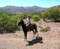 our guide & Singo