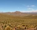 more mad landscape