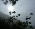 hurray-sunshine