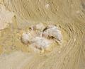 mineral deposits