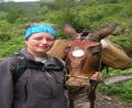 hel-an-naught-mule