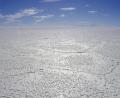 vast whiteness