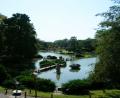 Japanese gardens